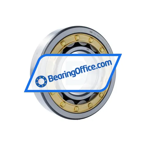 FAG NJ320-E-XL-M1A-C4