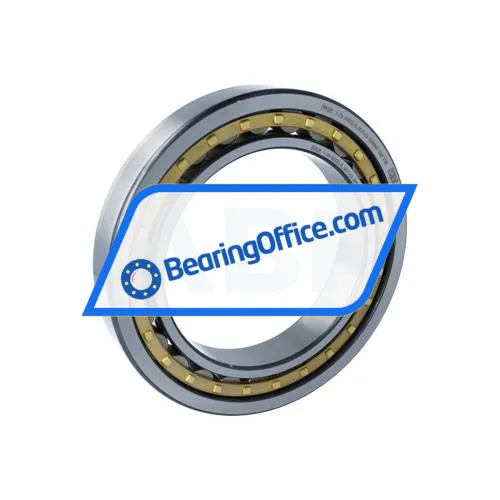 FAG NU1032-XL-M1-F1-C4