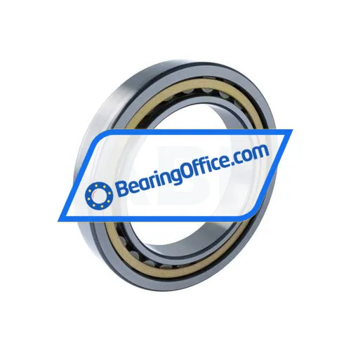 FAG NU1032-XL-M1-F1-C4 bearing image 2