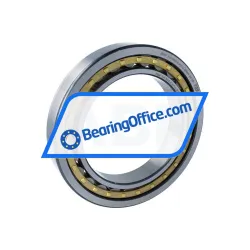 FAG NU1032-XL-M1-F1-C4