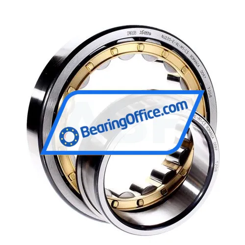 FAG NJ220-E-XL-M1-C3 bearing image 2
