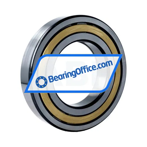 FAG NUP219-E-XL-M1 bearing image 2