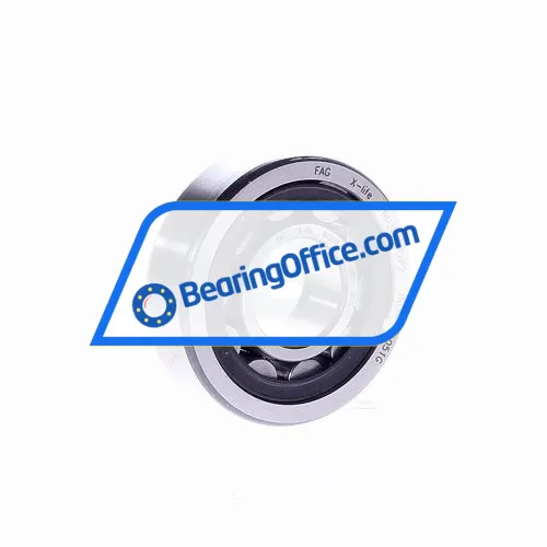 FAG NU304E-TVP2
