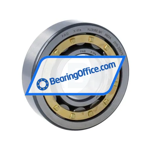 FAG NJ306E-M1