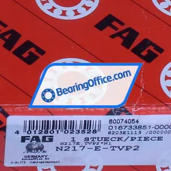 FAG N217-E-TVP2-C3 rulman resim 5