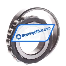 FAG N208E-TVP2-C3 rulman resim 2