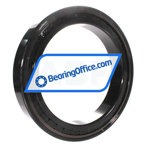 INA SL182944-B-XL-BR bearing image 2