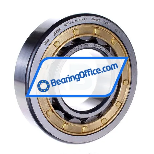 FAG NU313-E-XL-M1A-C4