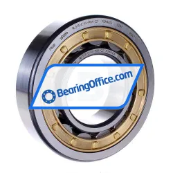 FAG NU313-E-XL-M1A-C4