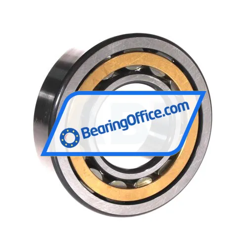FAG NU310-E-XL-M1-C3 bearing image 2