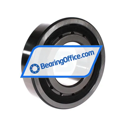 FAG NJ315-E-XL-TVP2-QP51-C4 bearing image 3