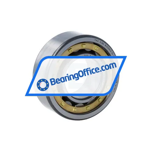 FAG NJ2205-E-XL-M1-C3