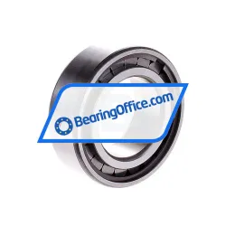 INA SL183007-A-XL-C3