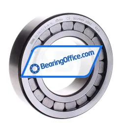 INA SL182213-A-XL-C3