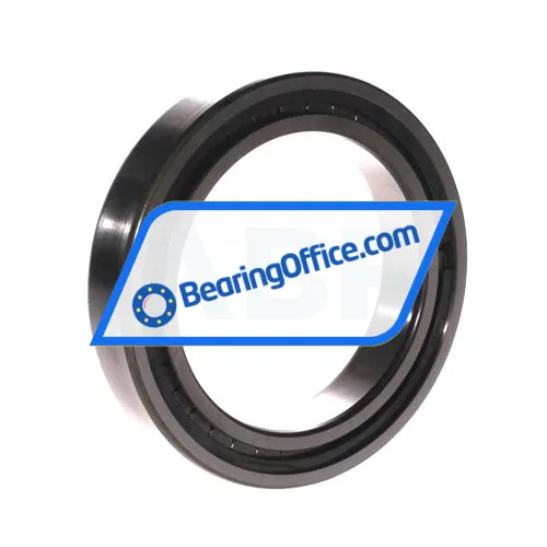 INA SL182917-B-XL bearing image 2