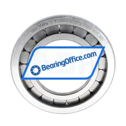 INA SL182209-A-XL-C3 rulman resim 2