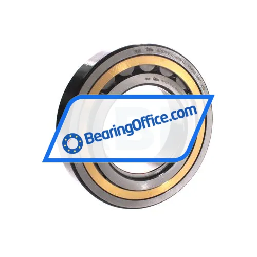 FAG NUP220-E-XL-MPAX-C3