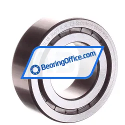 INA SL183005-A-XL-C3