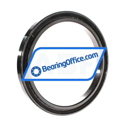 INA SL181836-A-C3 bearing image 2