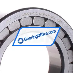 INA SL182215-A rulman resim 2