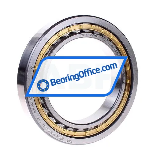 FAG NU1019-XL-M1-F1-C4