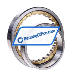 FAG NU1019-XL-M1-F1-C4 rulman resim 2