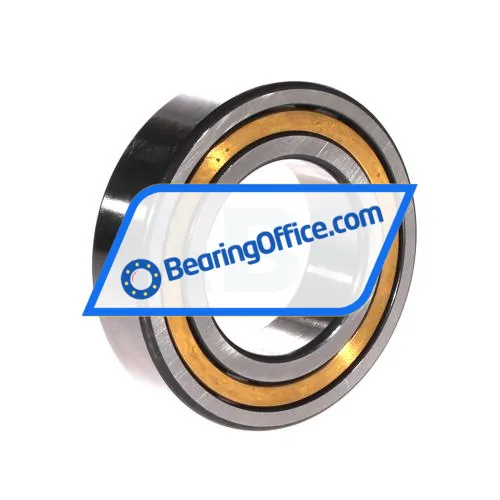 FAG NJ2210-E-XL-M1-C3 bearing image 2