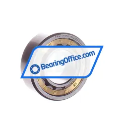 FAG NJ2205-E-XL-M1-C4