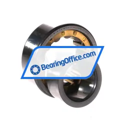 FAG NJ2205-E-XL-M1A-C4 rulman resim 3