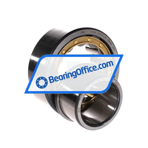 FAG NJ2311-E-M1 bearing image 3