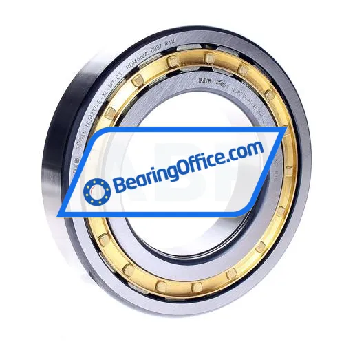 FAG NUP217-E-XL-M1-C3