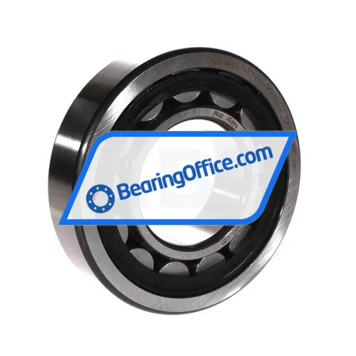 FAG NJ313-E-XL-TVP2-QP51-C4