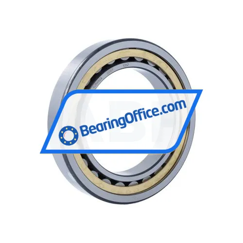 FAG NJ1022-XL-M1A-C3 bearing image 2