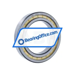 FAG NJ1022-XL-M1A-C3