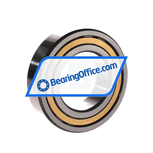 FAG NJ2211-E-XL-M1 bearing image 2