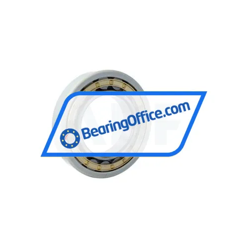 FAG NU220-E-XL-M1-J20AA-C3