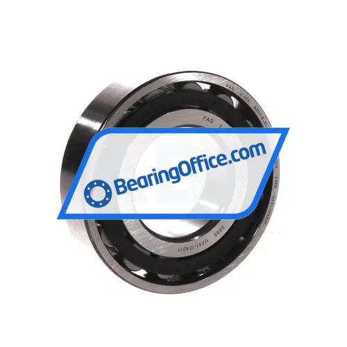 FAG N207-E-XL-TVP2-C3