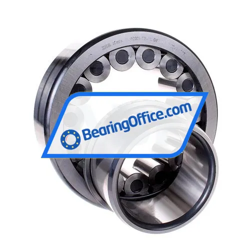 INA SL192319-TB-XL bearing image 2