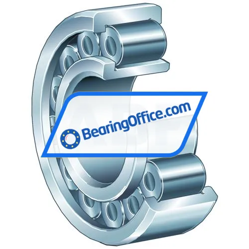 INA SL192319-TB-XL bearing image 4