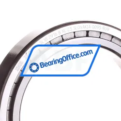 INA SL182916-B-XL-C3 rulman resim 2