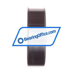 INA SL183010-A-XL rulman resim 3