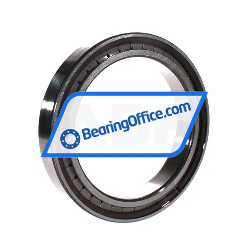 INA SL182928-B-XL bearing image 2