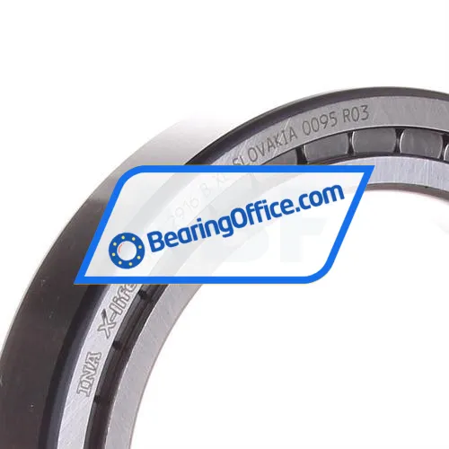 INA SL182916-B-XL bearing image 2