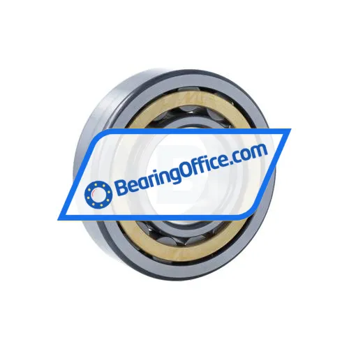 FAG NU310-E-XL-M1-F1-C3 bearing image 2