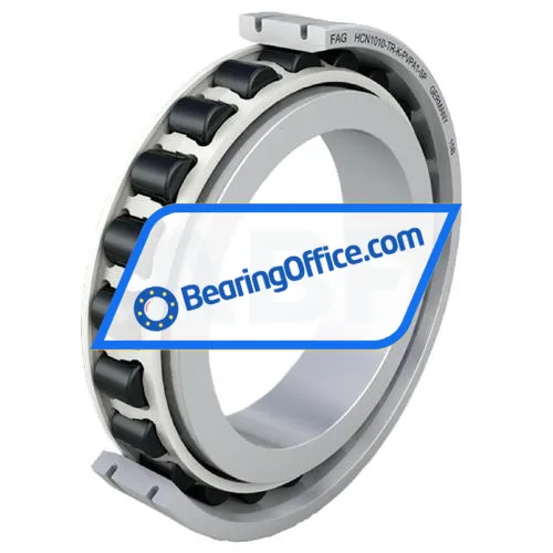 FAG N1011-D-K-PVPA1-SP-XL-R10-20 bearing image 5