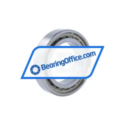 FAG N1011-D-K-PVPA1-SP-XL-R10-20