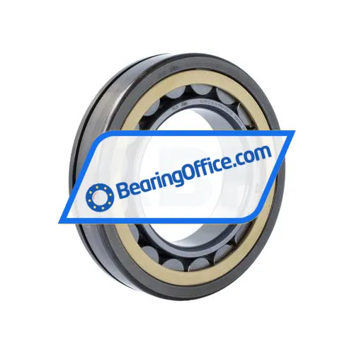 FAG NU219-E-XL-N-MPAX-F59-C3