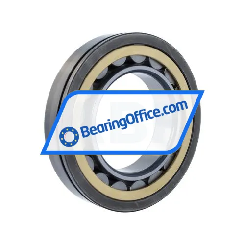 FAG NU219-E-XL-N-MPAX-F59-C3 bearing image 2