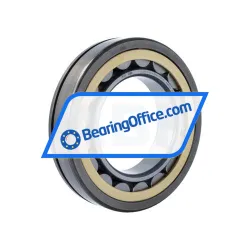 FAG NU219-E-XL-N-MPAX-F59-C3