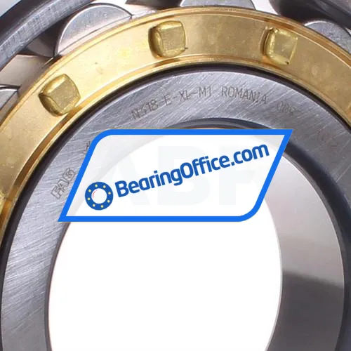 FAG N318-E-XL-M1 bearing image 2